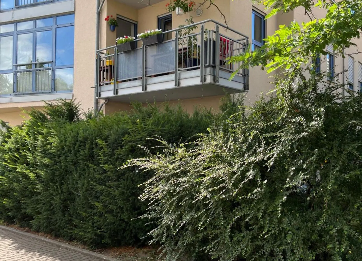 Aner 1 Stilvolle Ferienwohnung In Dresden-Loschwitz Germany